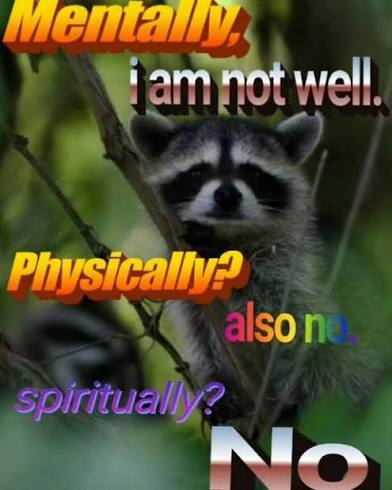 1000001271.jpg