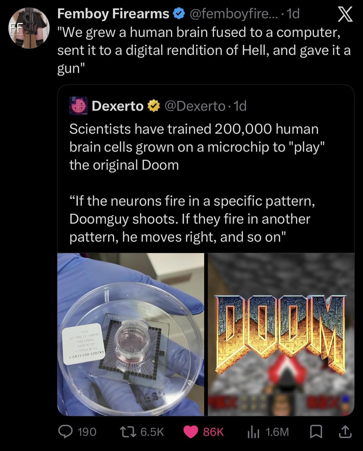 1000074981.jpg