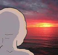 Wojak watching the sunset | Poster