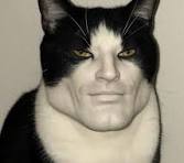 how my cat thinks he looks…