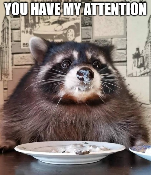 a5qbi2.jpg
