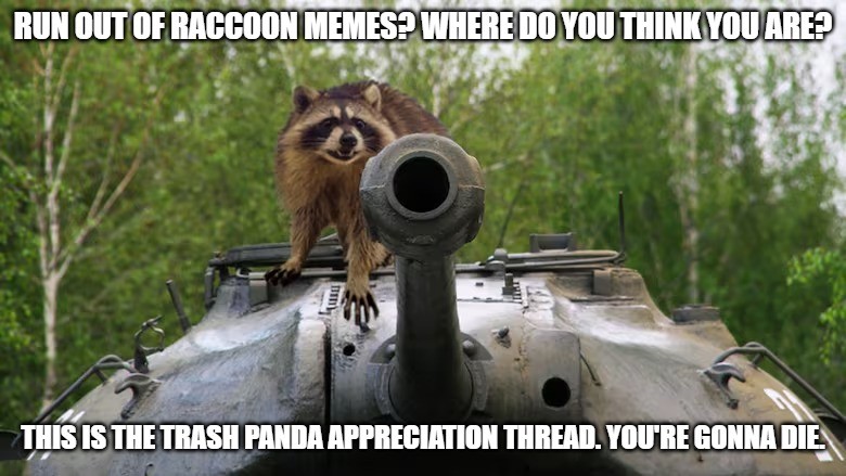 a5qdnr.jpg