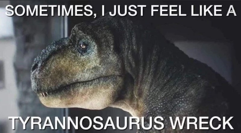 animal-sometimes-just-feel-like-tyrannosaurus-wreck.jpg