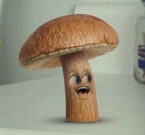AO_Mushroom.jpg