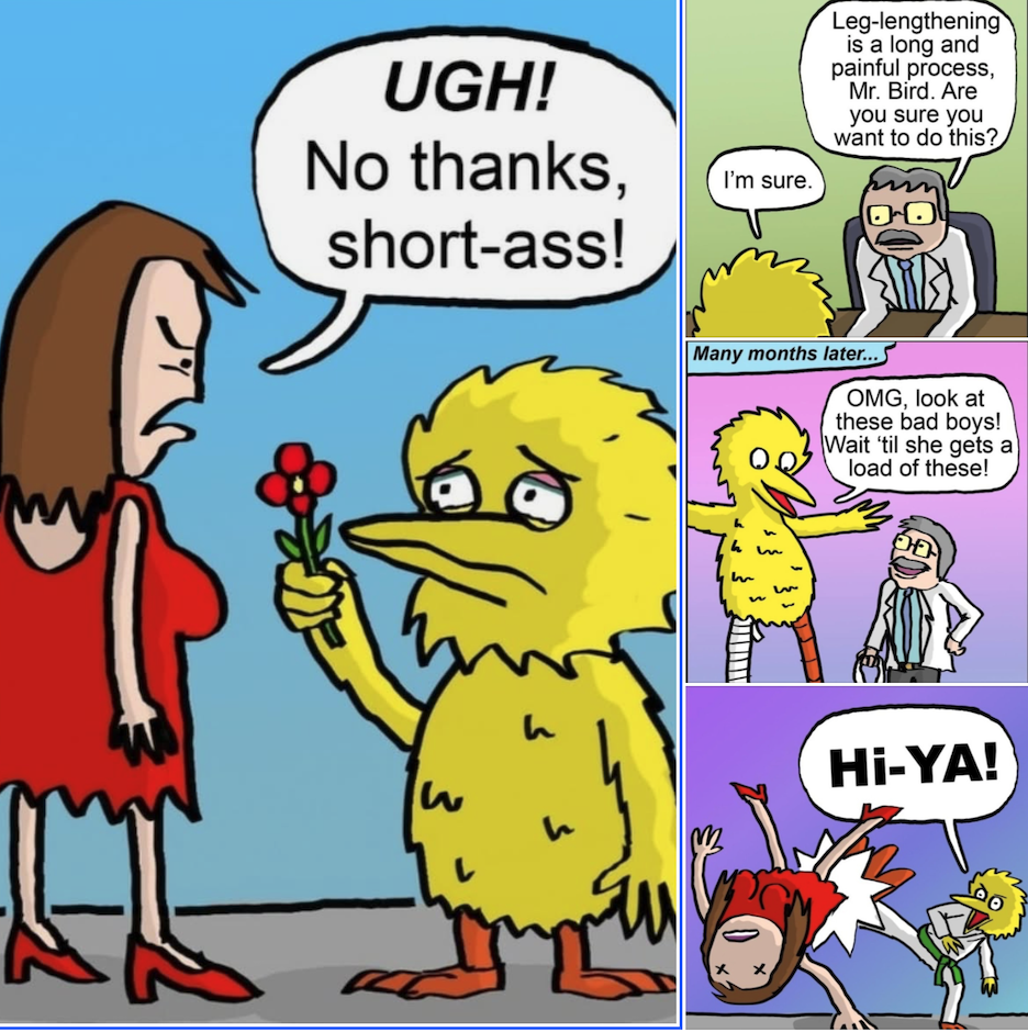 Bigbird.png