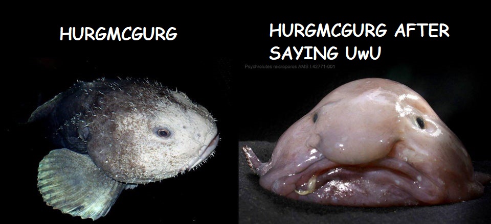 Blobfish-Reddit.jpg