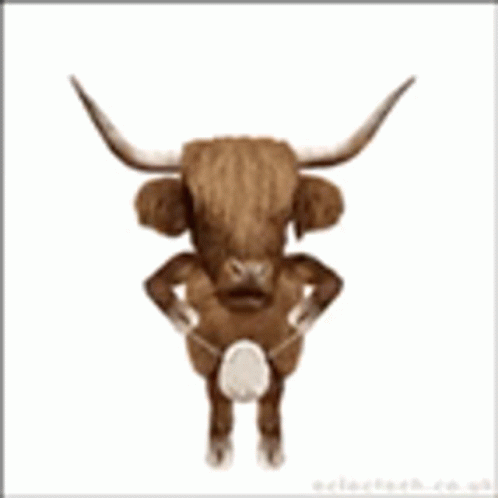 bull-498-x-498-gif-fnsxl589nxk2ord1.gif