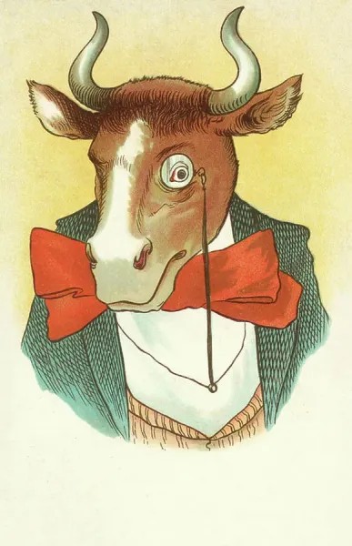 bull-wearing-bow-tie-monocle-colour-litho-38200080.jpg