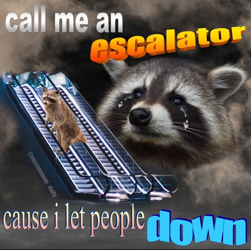 call-an-escalator-www-raccoonman_daily-cause-let-people-down.jpg