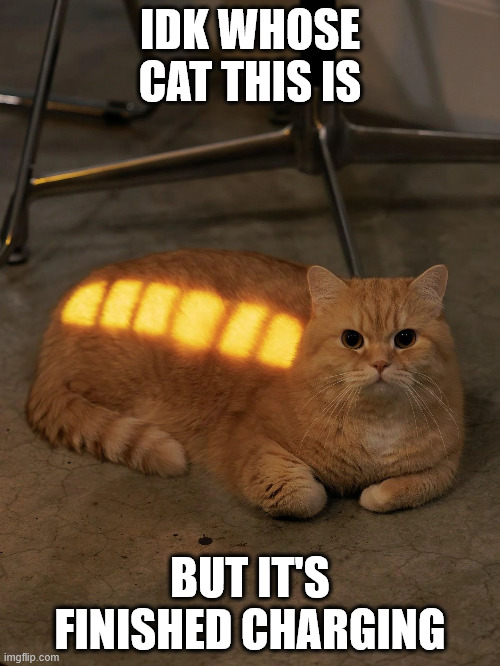 cat charging.jpg