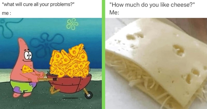 cheese-cheese-memes-memes-meme-funny-dairy-yum-food-food-meme-delicious-scrumptious.jpg