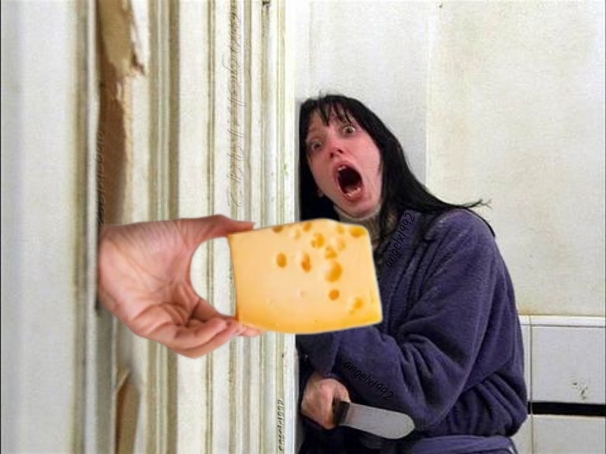 cheese-meme-9.jpg