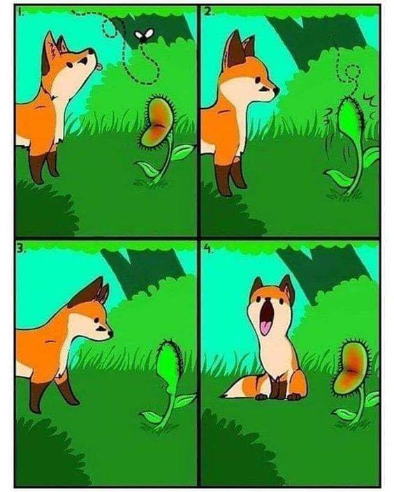 comics-fox-venus-flytrap-5420122.jpeg.jpg