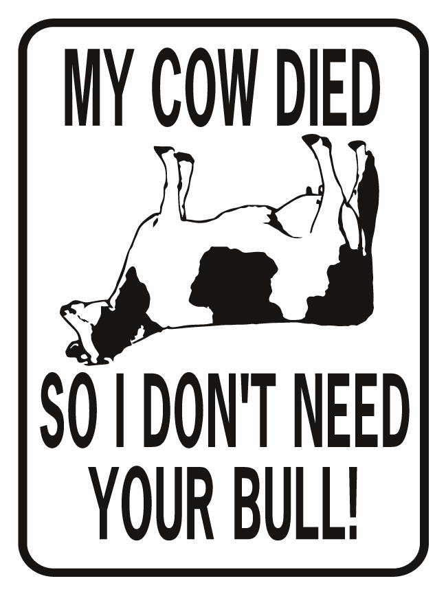 Cow-My-Cow-Died-So-I-DOnt-Need-Your-Bull-1.png
