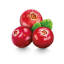 cranberry.png