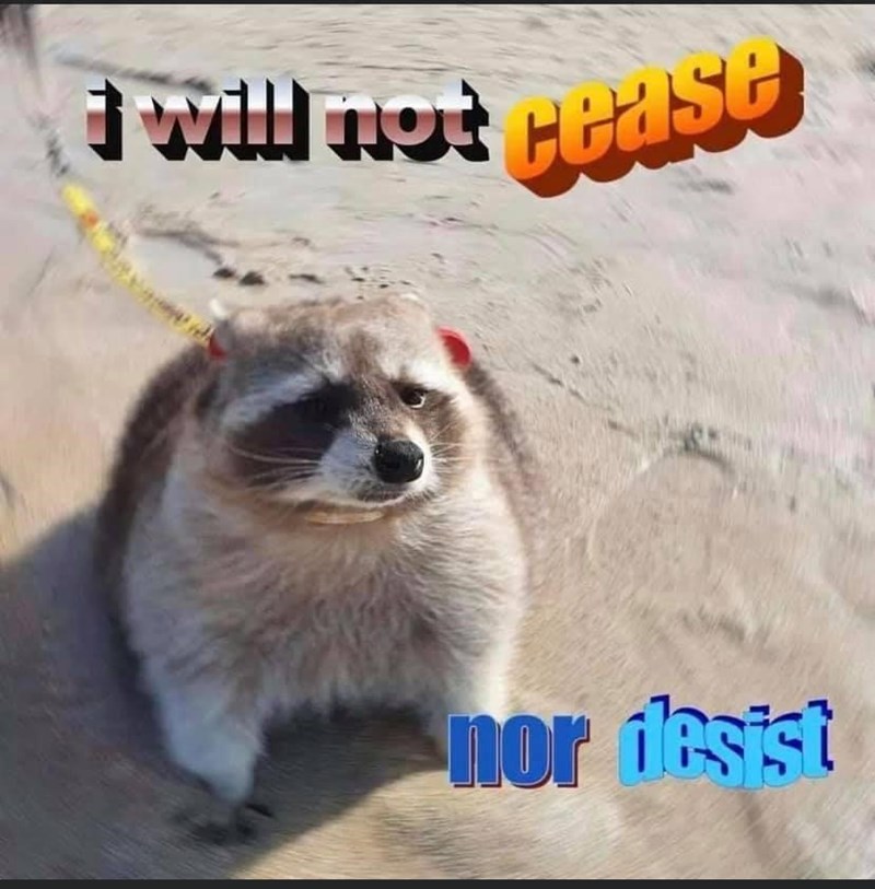 hA899ED4B.jpg