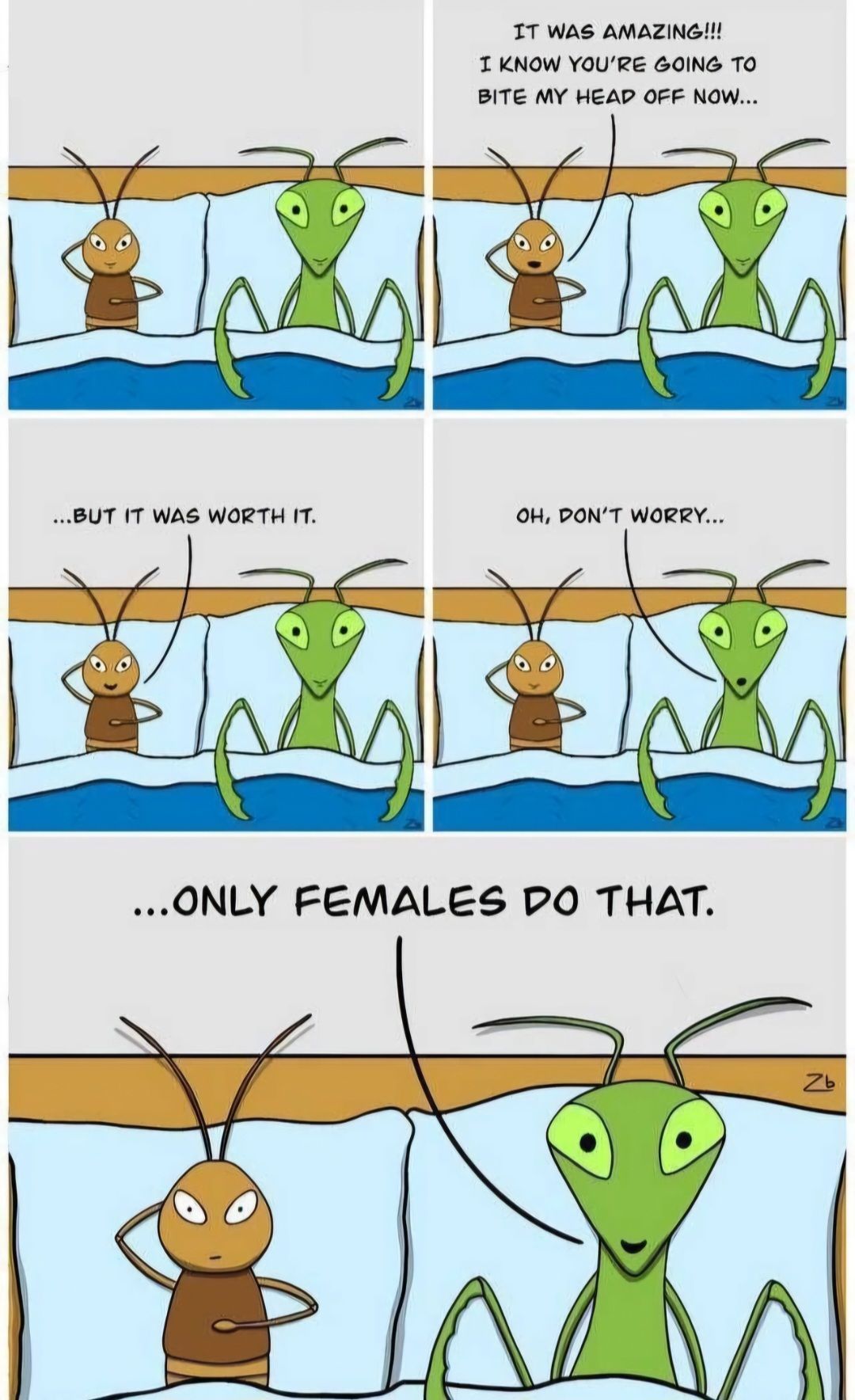 homoinsect.jpg