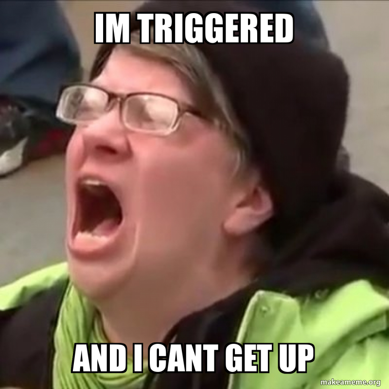 im-triggered-and.jpg