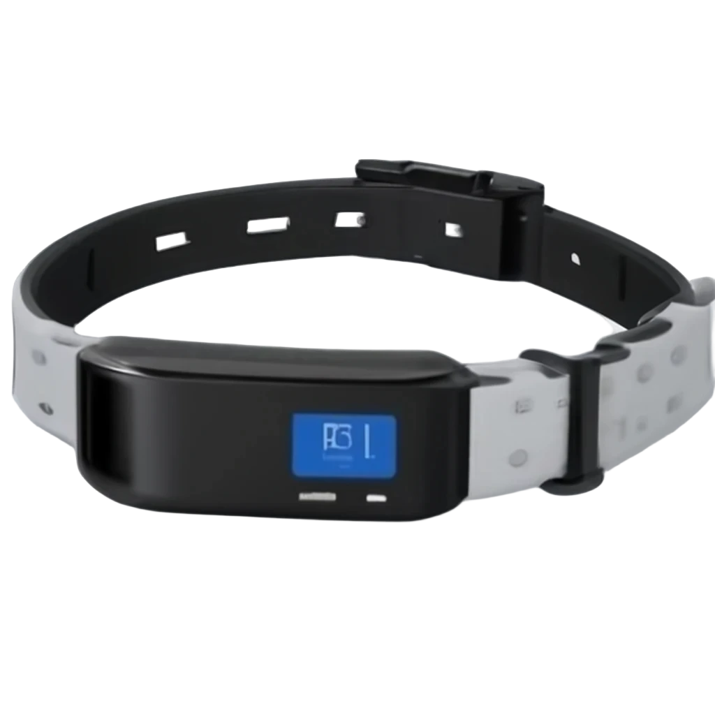 image_transparent_Craiyon (29).png