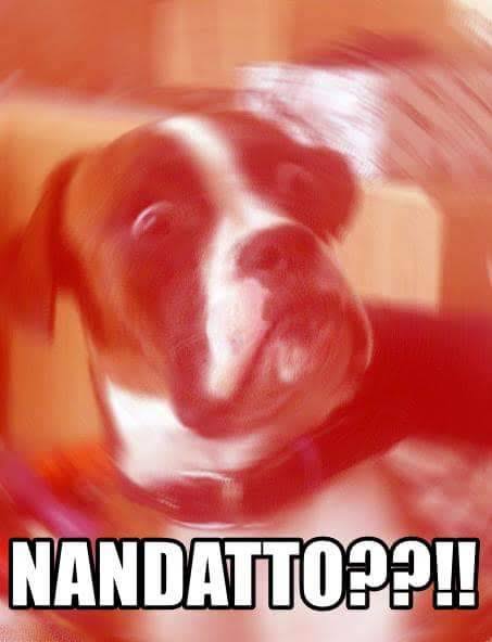 images - 2023-10-06T085046.681.jpeg