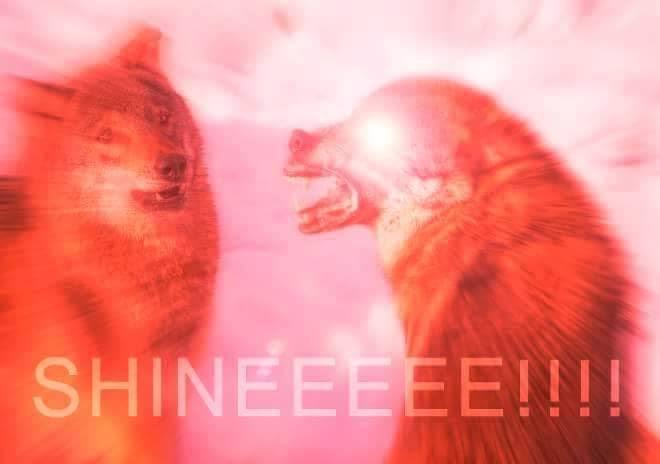 images - 2023-10-06T085206.170.jpeg