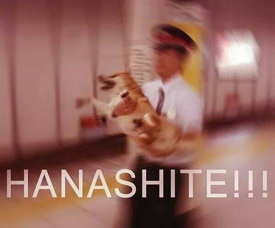 images - 2023-10-07T213406.179.jpeg