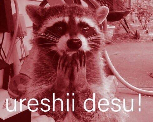 images - 2023-10-07T213450.933.jpeg