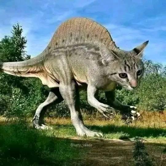 images - 2025-01-31T212236.403.jpeg