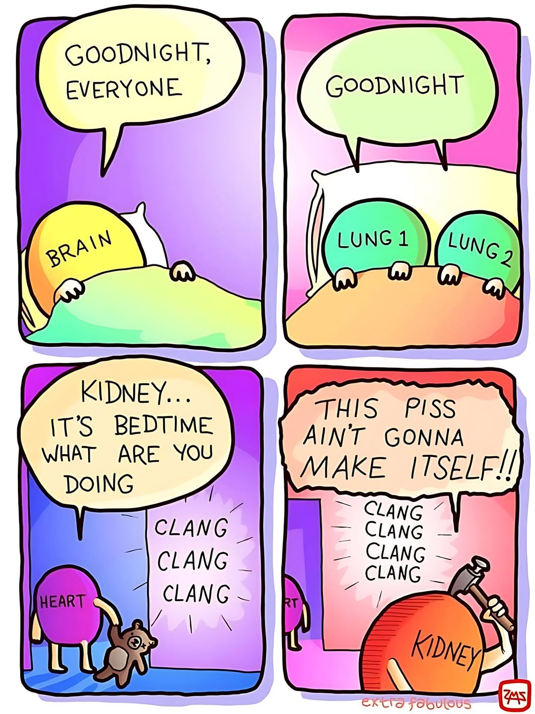 Kidney.jpg
