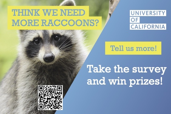 LGBanner_RACCOON.jpg