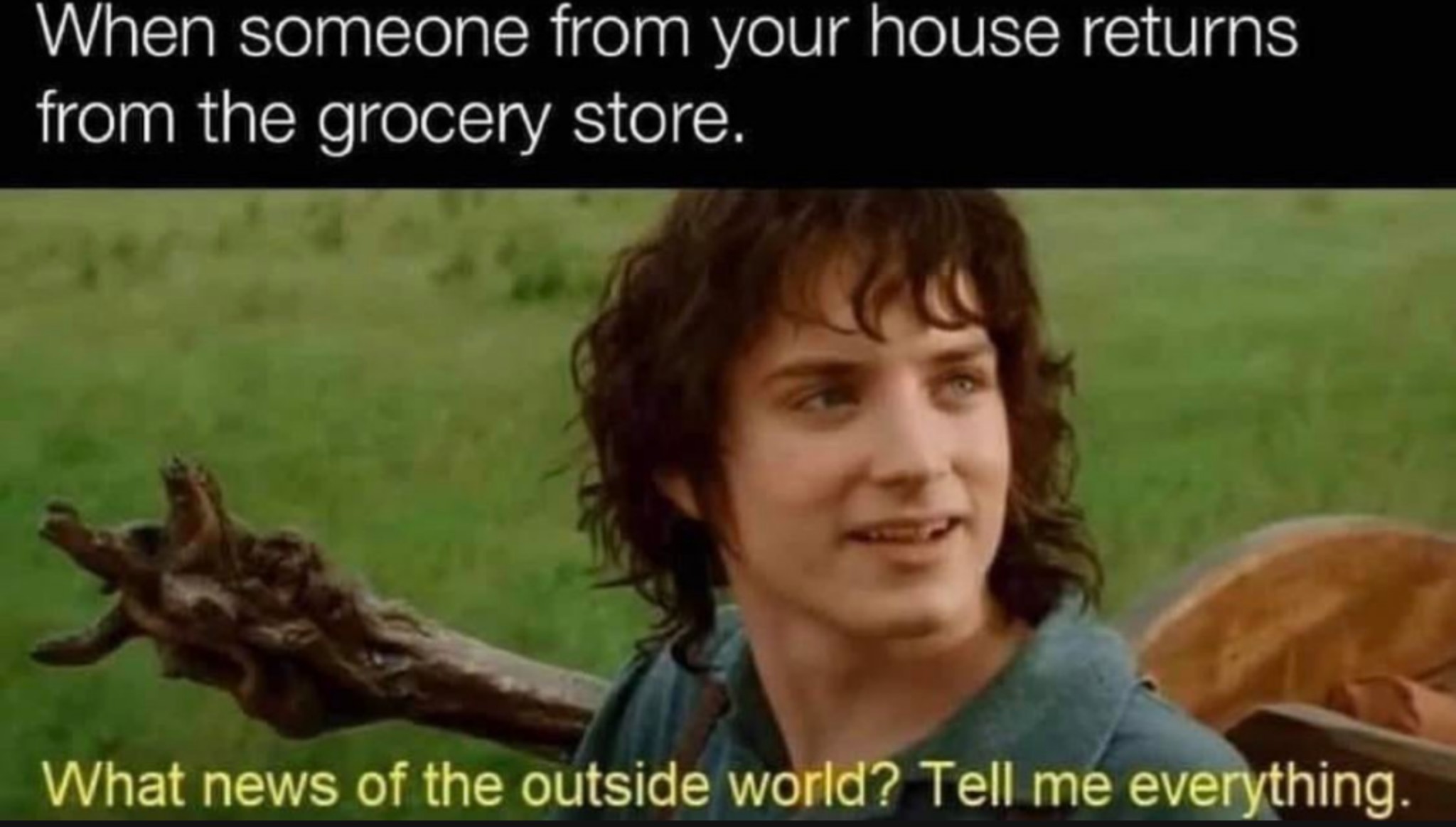 lotr corona grocery.jpeg