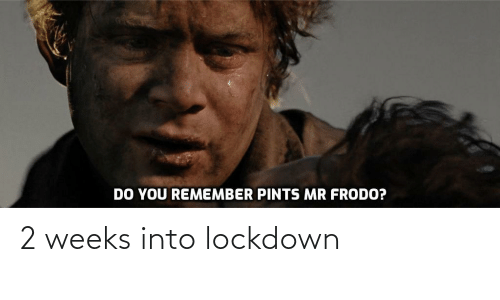 lotr lockdown pints.png