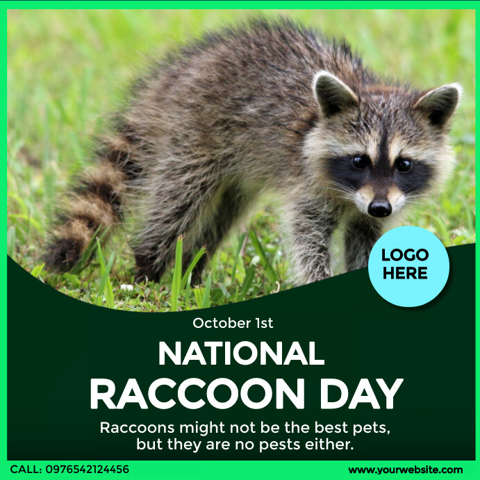 national-raccoon-day-design-template-3ad719b6fb99a8b38d39908b1d0d5cde_screen.jpg