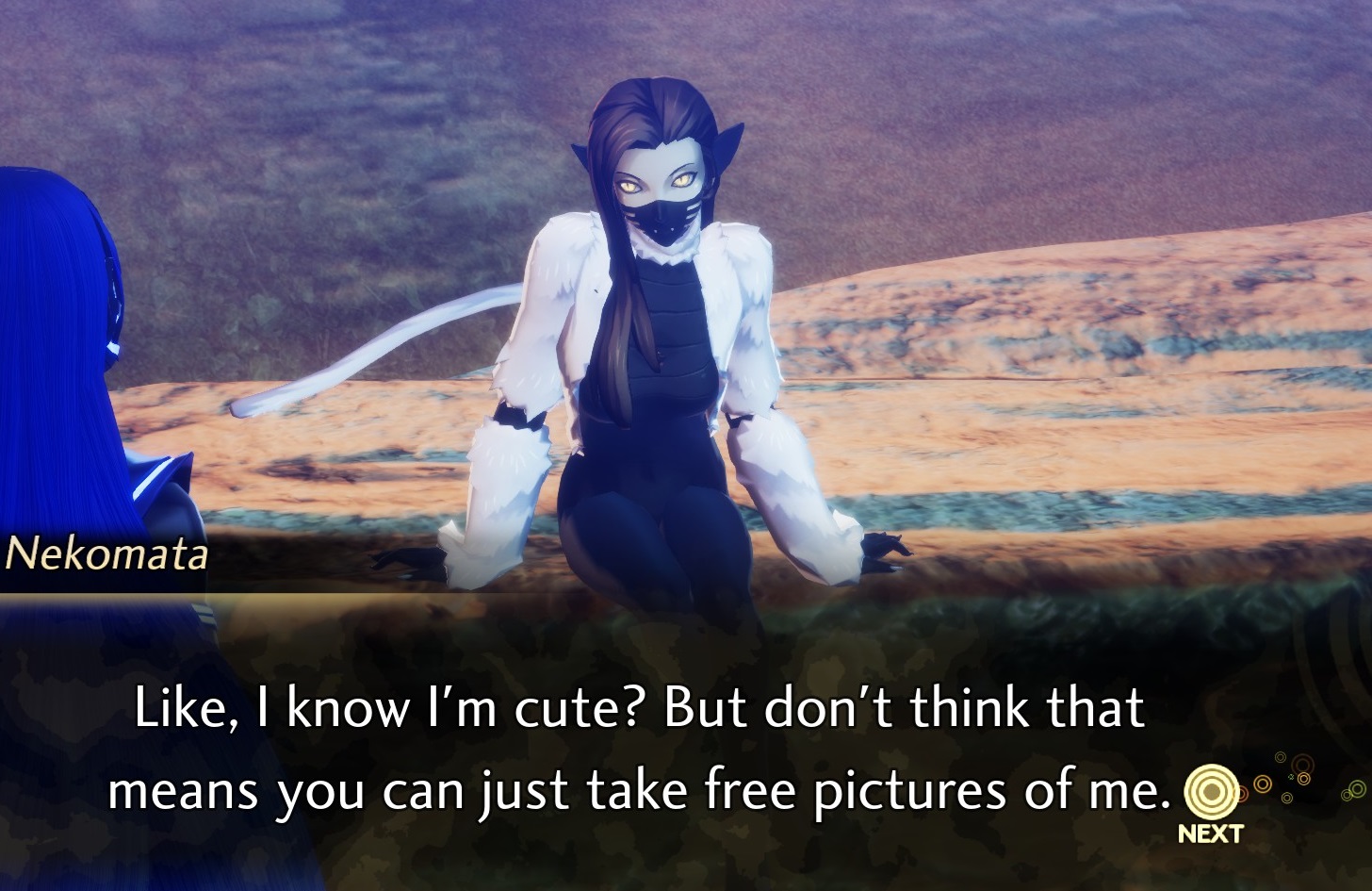 Neko-Neko.jpg