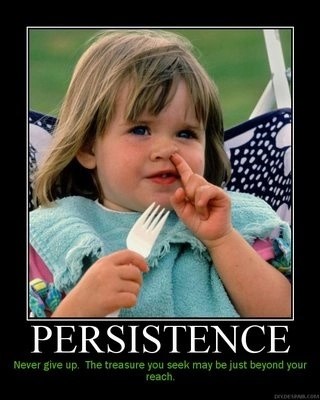 persistence.jpg