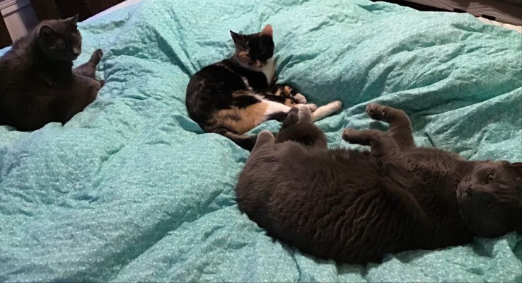 photo_2025-06-25_18-27-40 (1).jpg