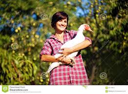 proxy-image (2).jpeg