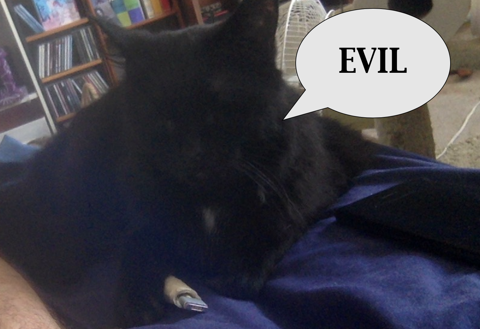 Screen Shot 2023-09-27 at 2.03.09 PM.png