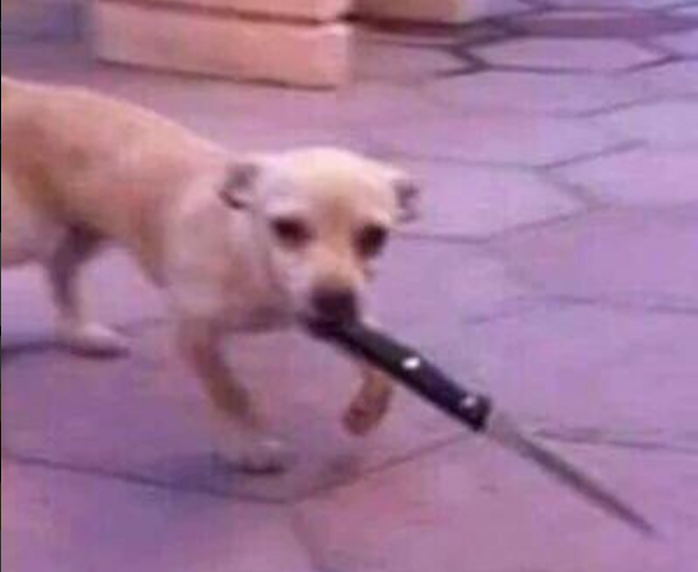 scrnli_7_25_2021_4-21-35 PM.png