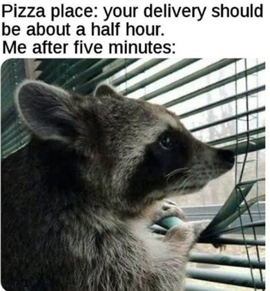 shows-two-raccoons-in-a-bathroom-one-of-which-is-lathered-with-soap-and-lying-flat-on-the-floor.jpg