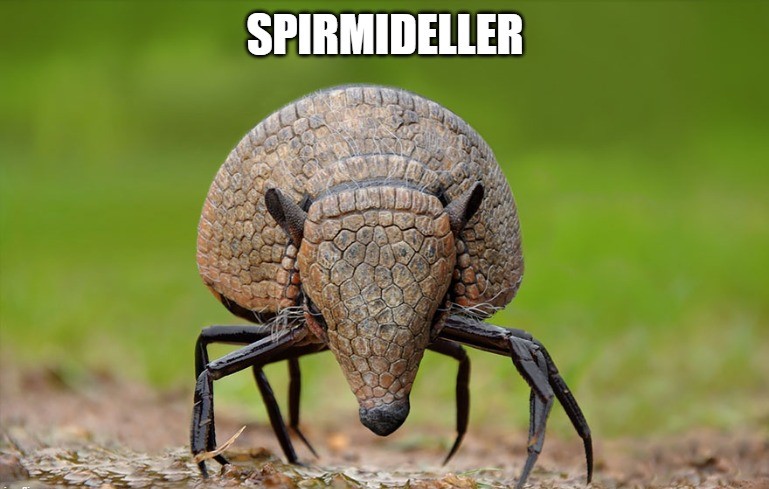 spirmiddiler.jpg
