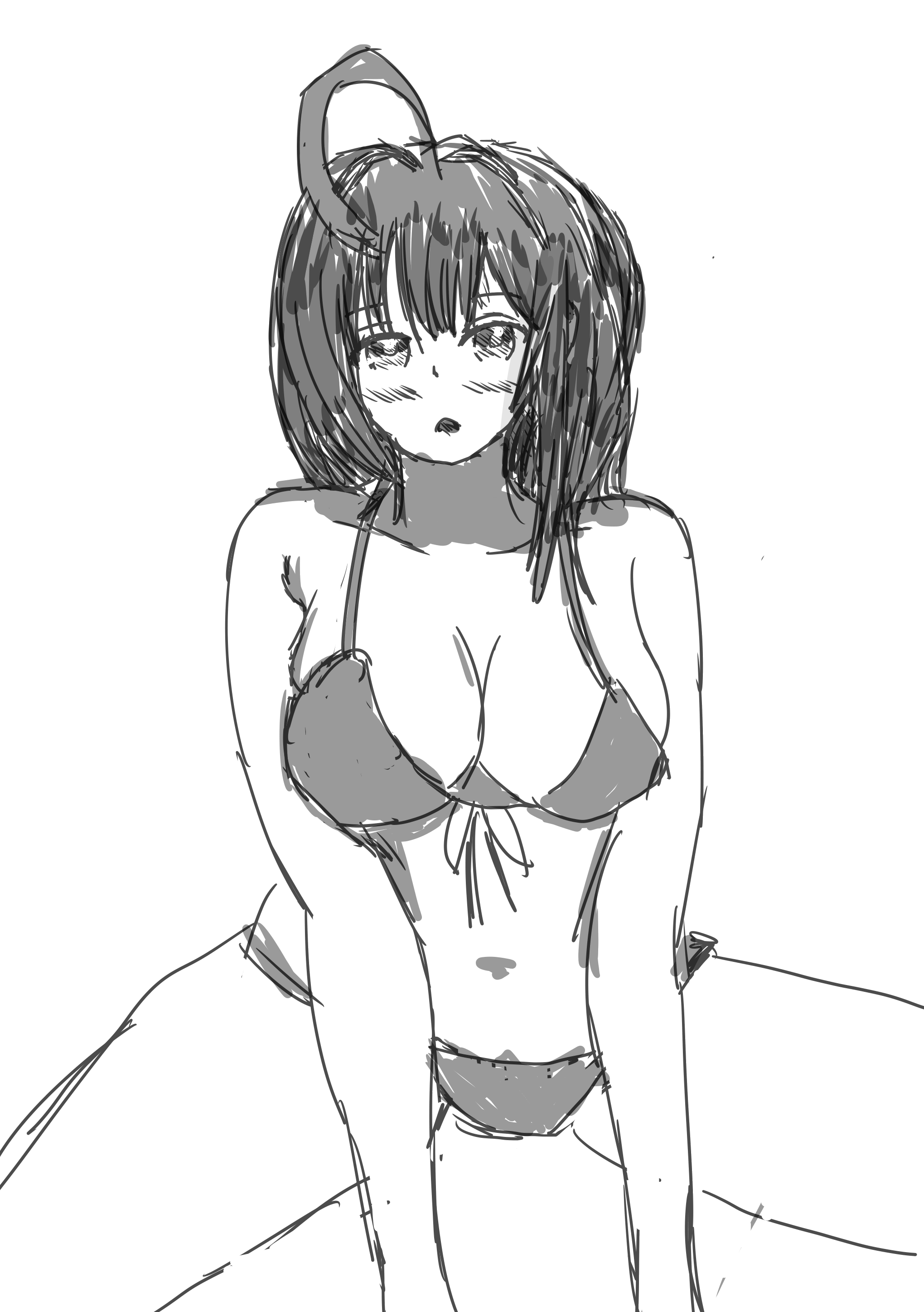 swimsuit.png