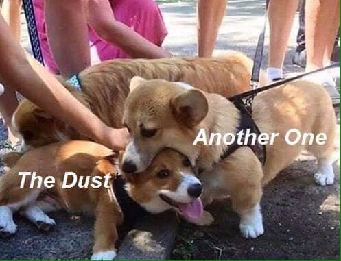 téléchargement (4).jpg