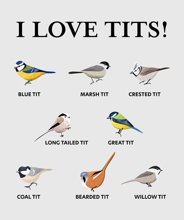 tits.jpg