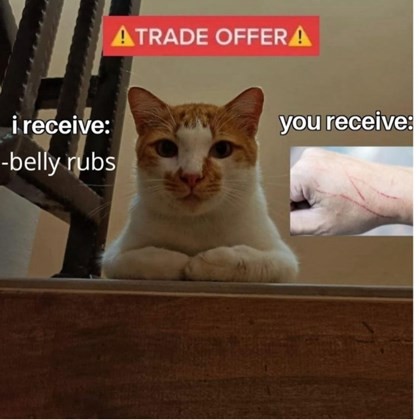 trade offer.jpg