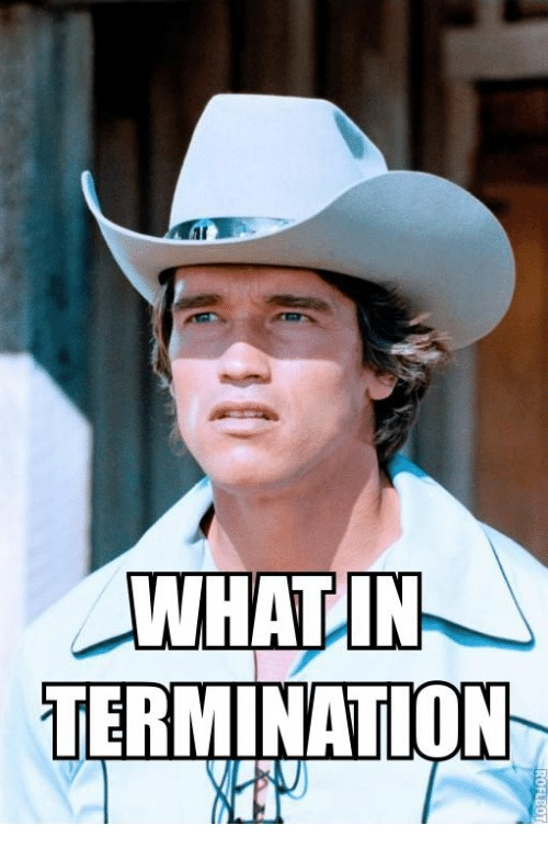 what_in_termination.png
