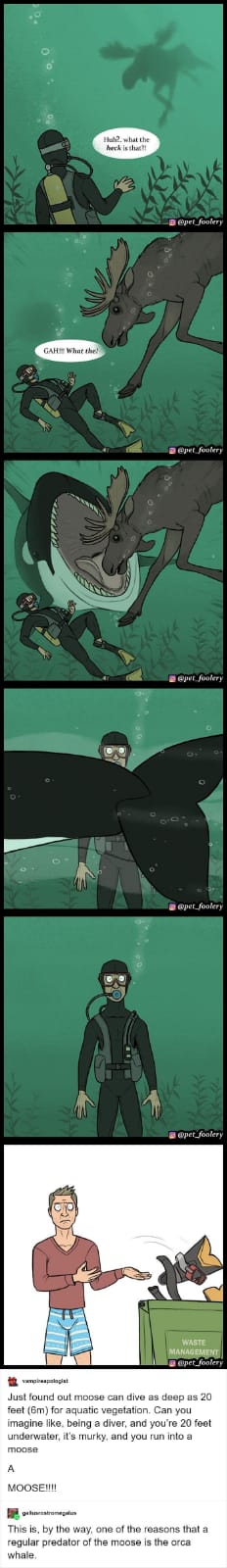 WhatsApp Image 2025-07-02 at 14.22.27_51b80217.jpg