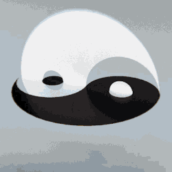 yinyang3.gif