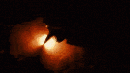 Pi7_GIF_CMP (1).gif