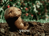 meat-worm-msn-earthworm.gif